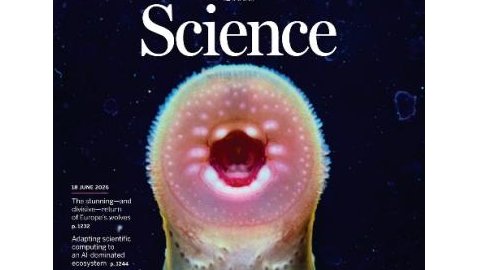 leyu乐鱼登录入口七鳃鳗研究中心首登国际顶刊《Science》封面文章